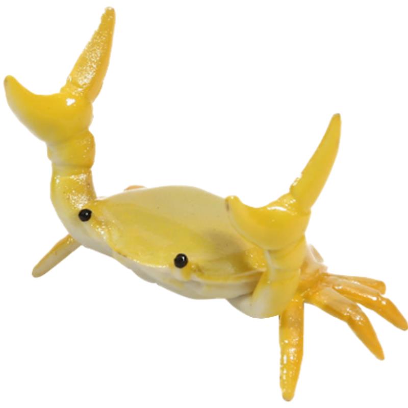 Multifunkční držák na tužky Crab pro vzpírání Úložný předmět Držák na tužky na zvedání Stolní Kreativní Personalizovaný Dekorační Model Dárek
