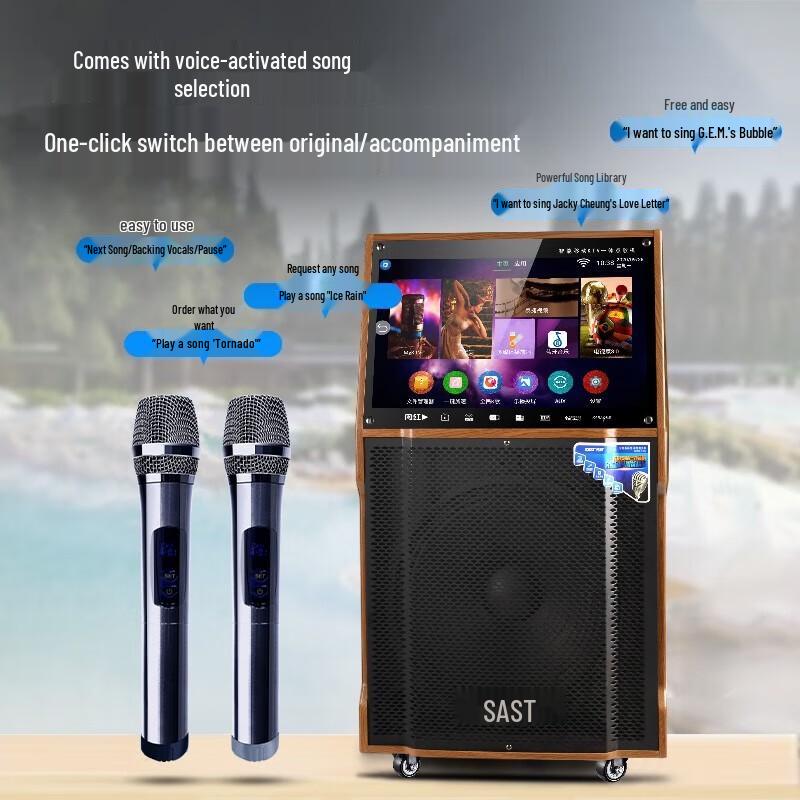 

SAST All-in-One KTV Karaoke System with 21-inch Display