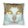 Monday Left Me Broken Cat Pillowcase Double-sided Printing Polyester Cushion Cover Decor Pillow Case Cover Seat Zippered 40X40cm