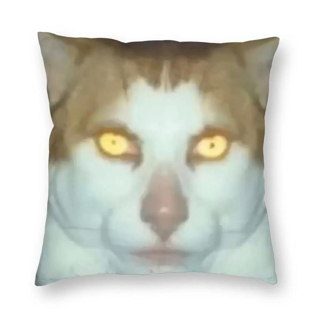 Monday Left Me Broken Cat Pillowcase Double-sided Printing Polyester Cushion Cover Decor Pillow Case Cover Seat Zippered 40X40cm