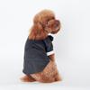 Jesienno-zimowa odzież dla psa: Przytulne stroje dla Teddy'ego, Golden Retrievera i Samojeda