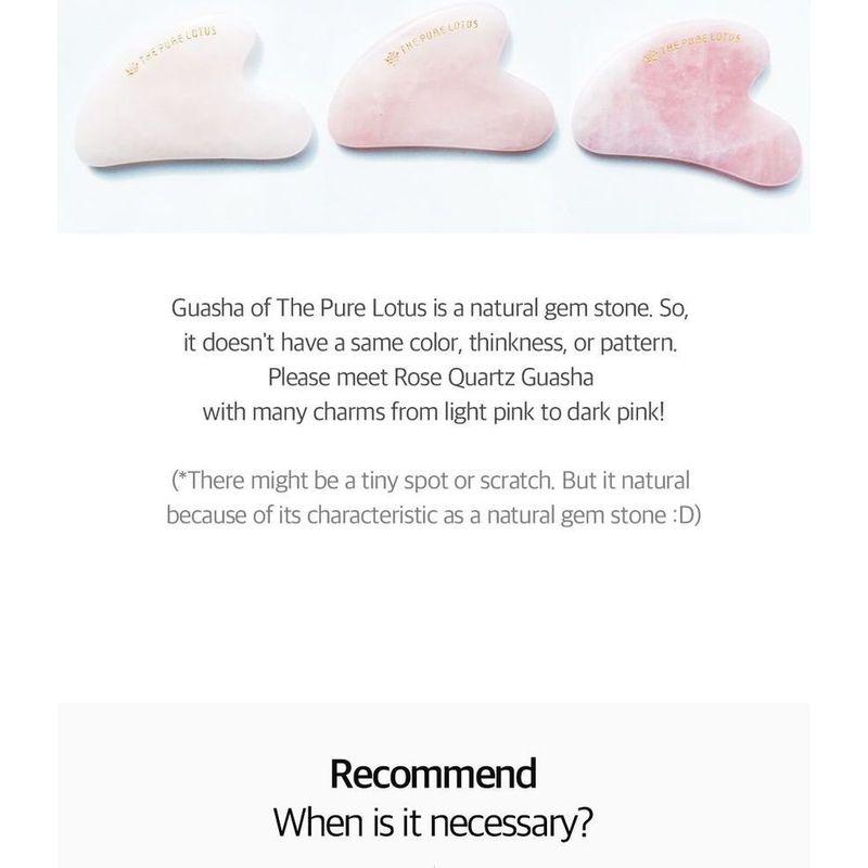 THE PURE LOTUS Rose Quartz Guasha