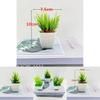 Artificial Succulent Plant With Plastic Craft For Home Decor And Office Use
