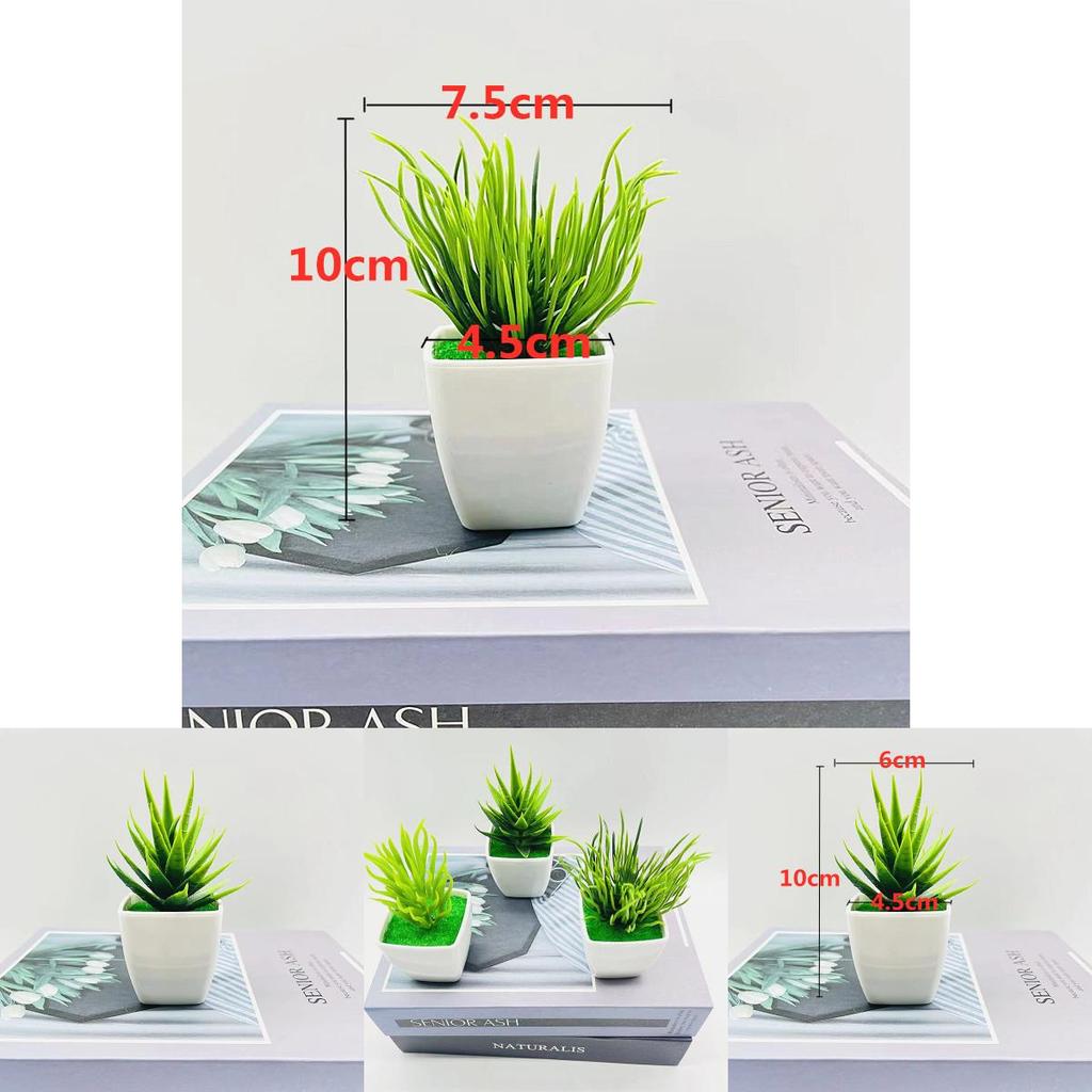 Artificial Succulent Plant With Plastic Craft For Home Decor And Office Use