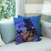 SINGER Freya Skye Stardust   Personalized Picture Text Home Decorative Pillows Household Gifts Xcm