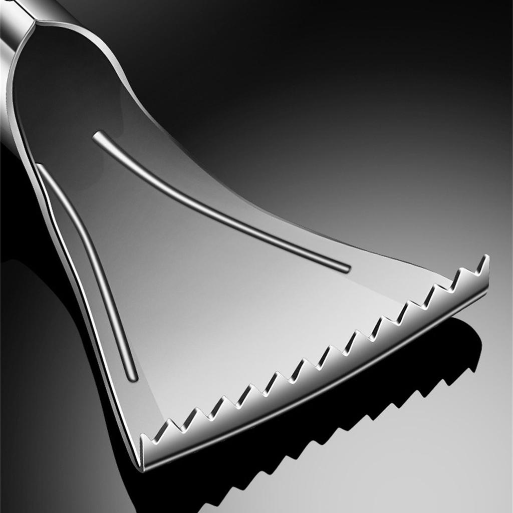 304 Stainless Steels Fish Descaler with Comfortable Grip for Quick and Safe Scale Removal Seafood Descaling Tool