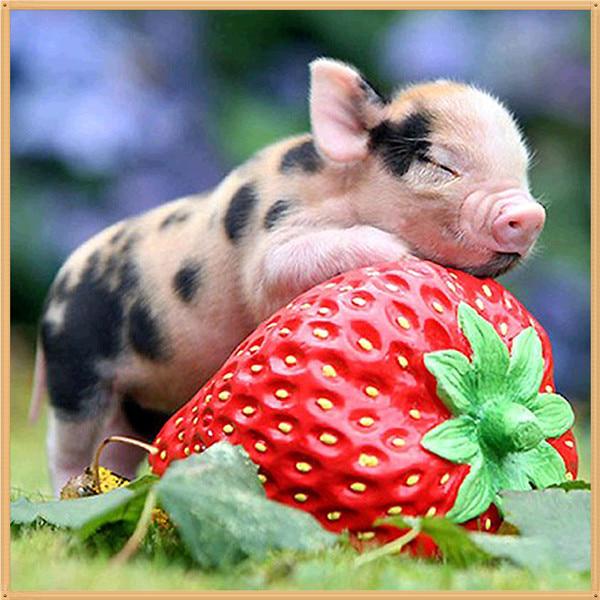 5D DIY Diamant Malerei Cartoon Tier Blume Diamant bestickt Teil Runde Strass Kreuzstich