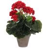 Géranium - MICA Decorations - 975161 - Grandes Fleurs Rouges - Intérieur - Cuisine