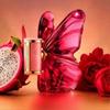 Arab Perfume Butterfly Brand Long Lasting Perfume for Woman Eau De Parfum