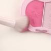 13 PCS Full Set Soft Makeup Brush Kit with Powder, Blush, Foundation, Eyeshadow Brushes