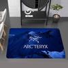 Outdoor Brand A-Arc Teryx Door Mat Nordic Style Bedroom Living Room Doormat Home Balcony Anti-Slip Alfombra