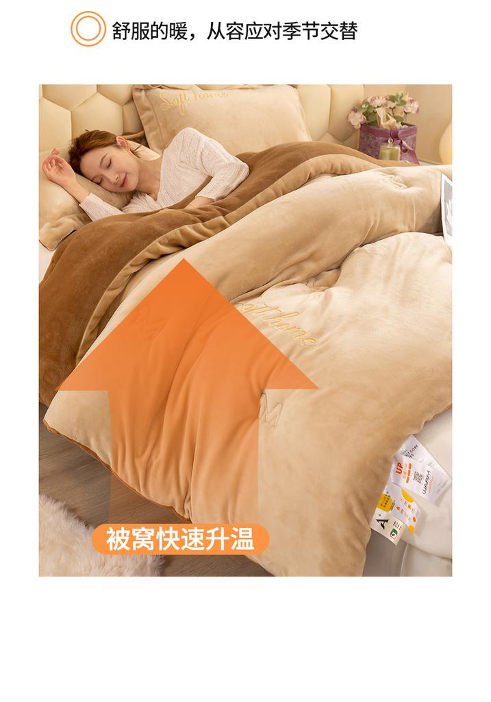 Sleeping grid milk velvet embroidery flower winter quilt core