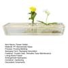 Hydroponic Floral Arrangement Holder Transparent Acrylic Desktop Decoration Multifunctional Container