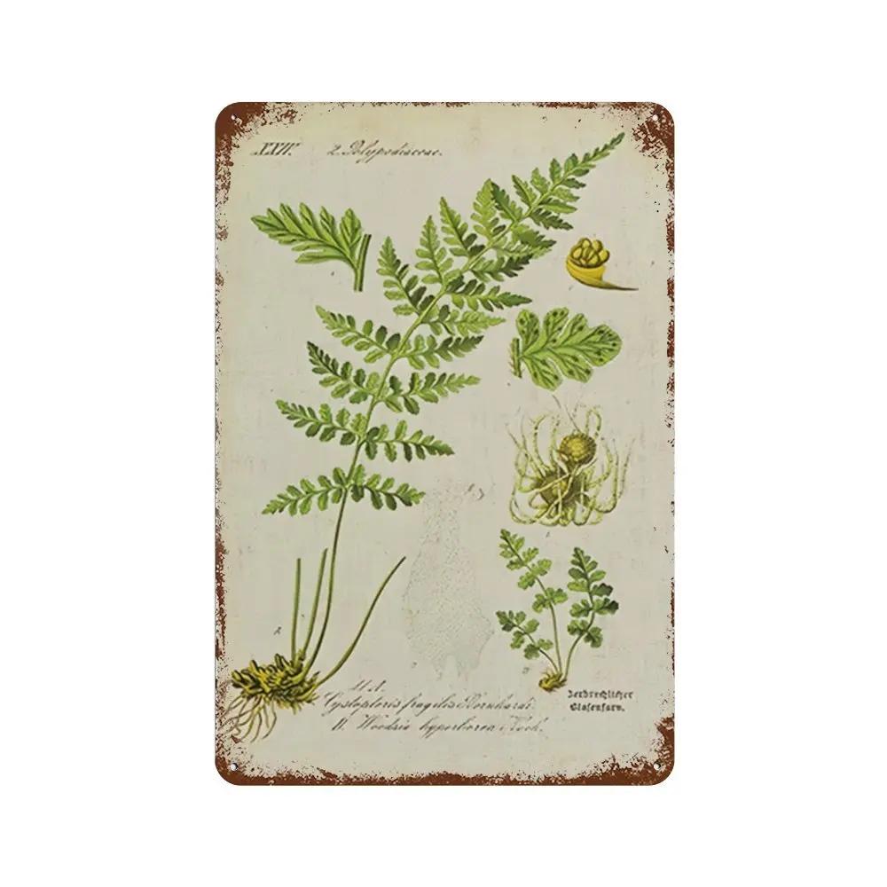 Vintage Pilz Medizin Blume Insekt Schmetterling Gemüse Kürbis Karotte Metall Aluminium Schilder Heim Zimmer Garten Wandkunst Pla