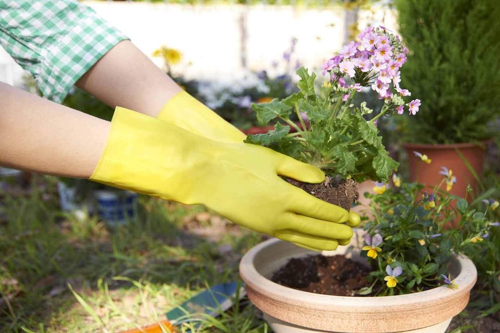 Dunlop Home Products Cooking Gloves Natural Rubber Medium Thick Ritchine Green L Kitchen Dishwashing Cleaning Laundry Gardening Gloves