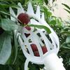 Fruit Picker Tool Fruit Harvesting Basket with Teeth Light-weight Fruit Picking Tool from Ground for Loquat Plum