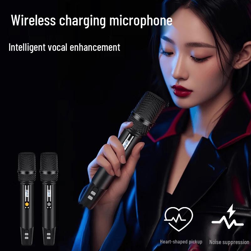 HiVi MP28 Portable Trolley PA Speaker System with Dual Microphones (CN version)