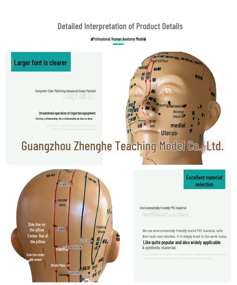High-Definition Acupuncture Engraved Head Model with Full Facial Acupoints for Human Body Massage Chart