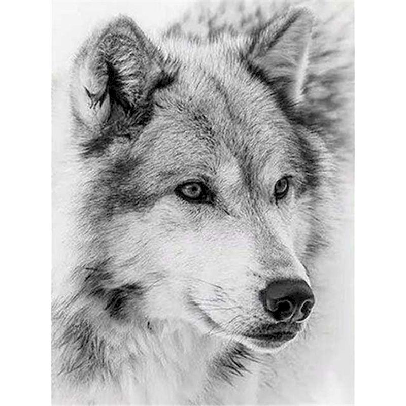 5D diamantová malba DIY Diamantové vyšívání psa Diamantové vyšívání Zvířata Ručně vyráběná sada křížkového stehu Home Decor Picture