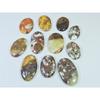 305Cts. Natural Forest Agate Oval Cabochon Loose Gemstone 11 Pcs Lot C-1968