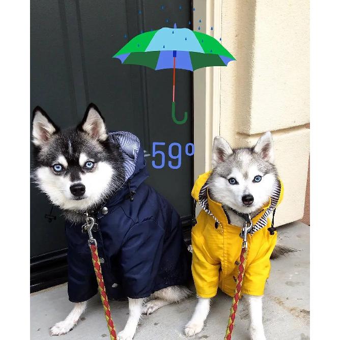 Pet Large Dog Raincoat Waterproof Fashion Multi Colors Rain Coat Pet Waterproof Jacket S-5XL Medium Large Dog Clothing Hoodies