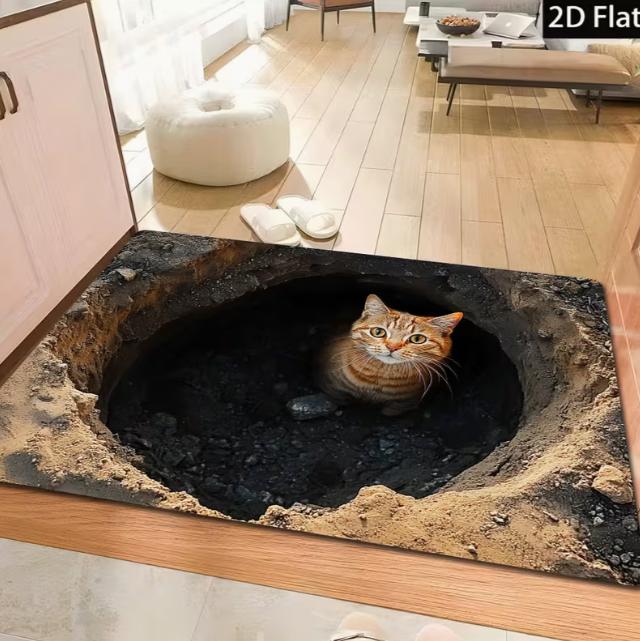 3D Visual Illusion Door Mat Realistic Broken Wood Grain Anti Slip Floor Mat Suitable for Indoor and Outdoor Car Home Decoration