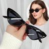Vintage Cat Eye Sunglasses Women Small Frame Sun Glasses Men Retro Brand Design Outdoor Eyewear UV400 Goggles Ladies Shades