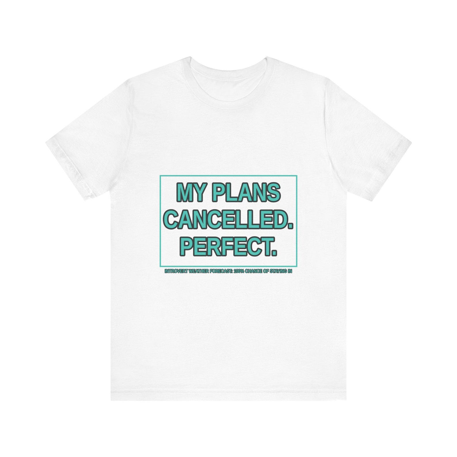 Funny Introvert T-Shirt: My Plans Cancelled, Antisocial Humor Tee L