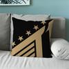 Faker LOLS SKT T1 2024 Five Champion Pillow Case Fan Style Square Home Decor Cushion Cover Design Printed
