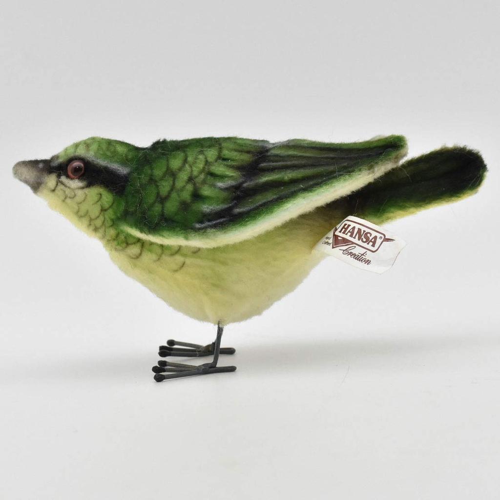 BH7476 HANSA Bush Warbler 7