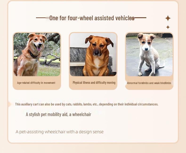 Verbessertes verstellbares Haustier-Rollstuhl für Hunde und Katzen – Stützhilfe für die Hinterbeine