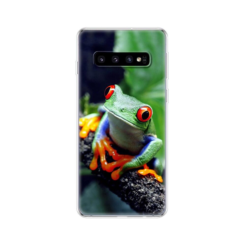 For Samsung Galaxy S10 Case S10Plus Silicone TPU Cover Phone S10 E Case On For Samsung S10 Plus G975F S 10 SM-G973F Transparent