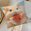 Funny Sad Hamster Emoticon   Pillow Cover for Bedroom Room and Living Room Sofa Decorative Cushion Cover