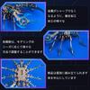 QUXOZHLU 3D 3D Puzzle Miniature DIY Scorpion 3D Puzzle for Handmade Educational 3D Birthday Assembly Craft 3D Metal Model Kit Puzzle, Kit, Model,