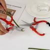 Straight Branch Pruning Scissors with Safety Buckle Pruning Shear Fruit Picking Scissors  Florist