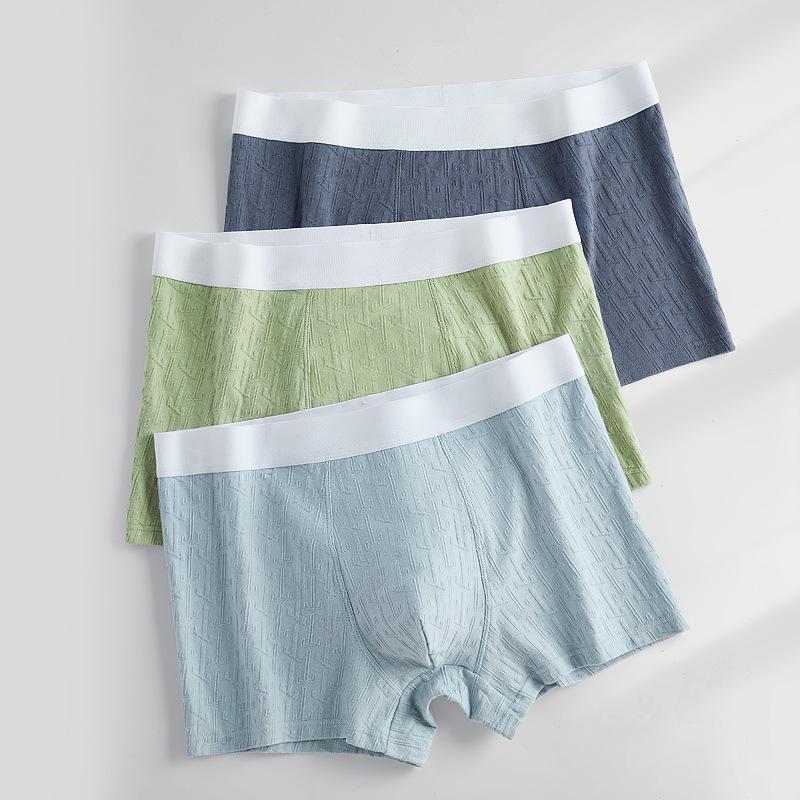 Men's 100% Cotton 3D Jacquard Boxer Briefs with Antibacterial Crotch in Large Size (2026 Model)