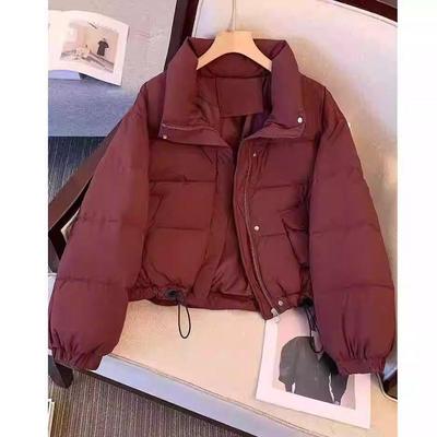 Winter Kurze Pufferjacke Damenmode Stehkragen Dick Warmer Mantel Petite Oberbekleidung