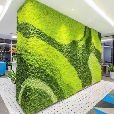 Decoração de Musgo Preservado Leve Musgo Verde Eterno Artesanato Adereço Estético Musgo Falso Artificial Decoração de Parede para Casa Festa