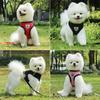 Accessoires pour chiens, ensemble harnais et laisse en maille respirante pour chiot et chat, gilet pour petits chiens, Chihuahua arnes para perro 35