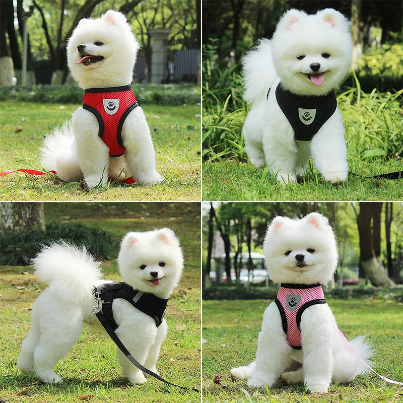 Accessoires pour chiens, ensemble harnais et laisse en maille respirante pour chiot et chat, gilet pour petits chiens, Chihuahua arnes para perro 35