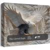 3D Carved Eagle Jigsaw Puzzle 1000 Pieces - Realistic Relief Art Puzzle for Adults, Challenging Animal Shape Puzzle, Home Decor