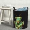Laundry Collector Green Praying Mantis, Eerie Insect Art Laundry Basket Home Organizer Children Washing Basket Home Organizer