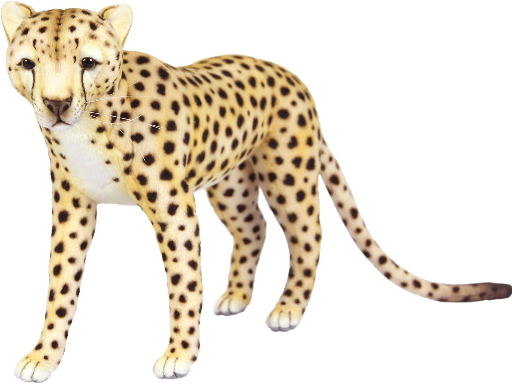 

BH7241 HANSA Cheetah 34