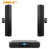 SHILE AV2011D+BX408 Professional Conference Audio System CN Plug (adapter Included)