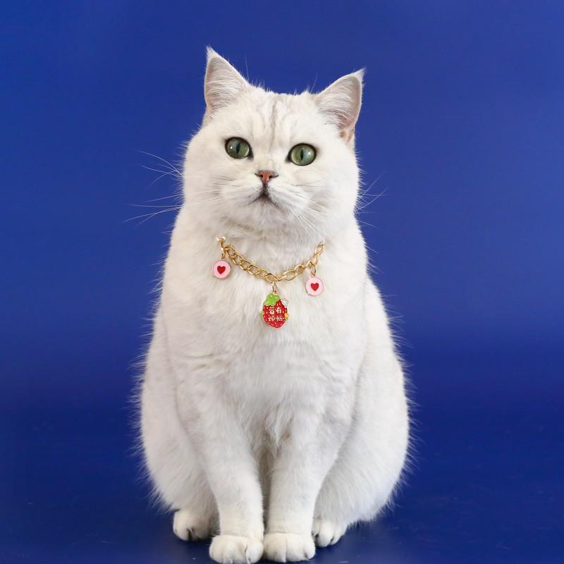 Resin Cartoon Pet Charm Necklace Cat Dog Lover - Orange Fortune Strawberry Peach Butterfly Bow Pendant