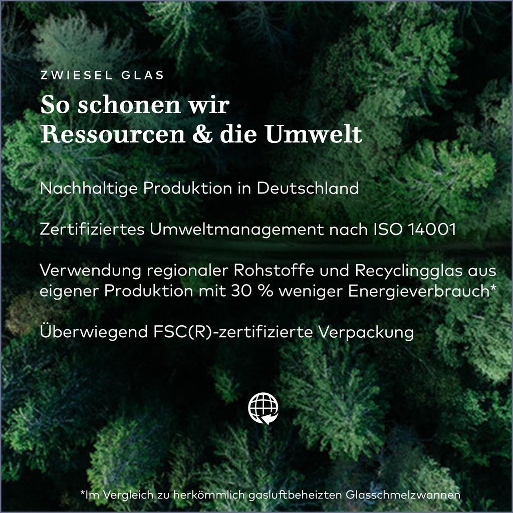 Zwiesel Vivid Sense Wine Glasses for Red and White Wines, 710ml, 122428 (Set of 2)