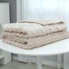 Autumn and Winter New High-gram Single-layer Double-sided Jacquard Tafu Fleece Shu Cotton Fleece Multi-functional Blankets