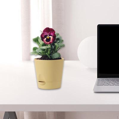 Öntözőedény Virágtartó Virágcserép Növény Asztali Ültetéshez Háztartási