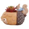 South Courtyard Cartoon Nut Garden Resin Succulent Pot – Creative Home and Balcony Decor