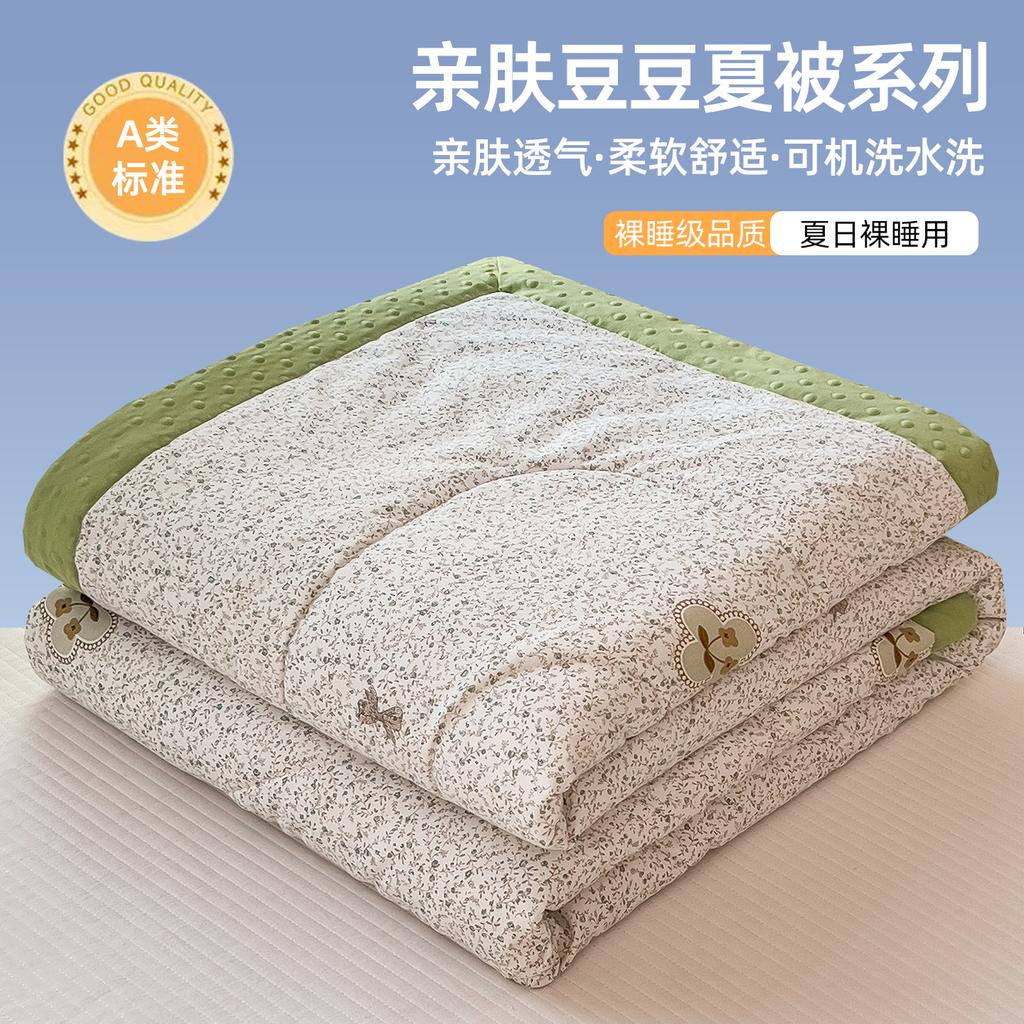 Double Layer Yarn A-Class Printed Soybean Velvet Summer Cool Quilt